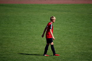 九游娱乐网站-俱乐部青训选拔日活动吸引众多有潜力少年参与，足球青训俱乐部招生宣传